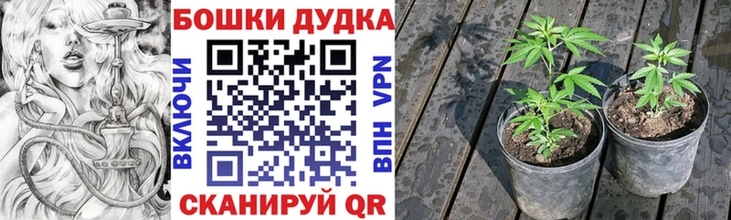 Наркошоп Красный Сулин Конопля Кокаин Амфетамин МЕФ ГАШ
