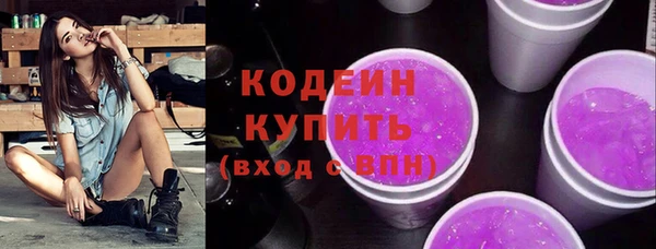 дживик Аша