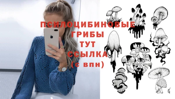 первитин Нефтегорск