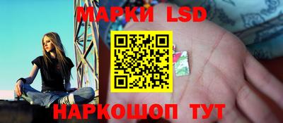ПСИЛОЦИБИНОВЫЕ ГРИБЫ Камышлов