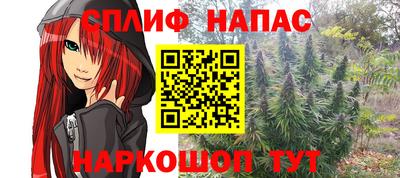 ПСИЛОЦИБИНОВЫЕ ГРИБЫ Камышлов