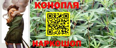 apvp Изобильный