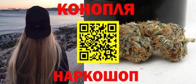 ПСИЛОЦИБИНОВЫЕ ГРИБЫ Камышлов