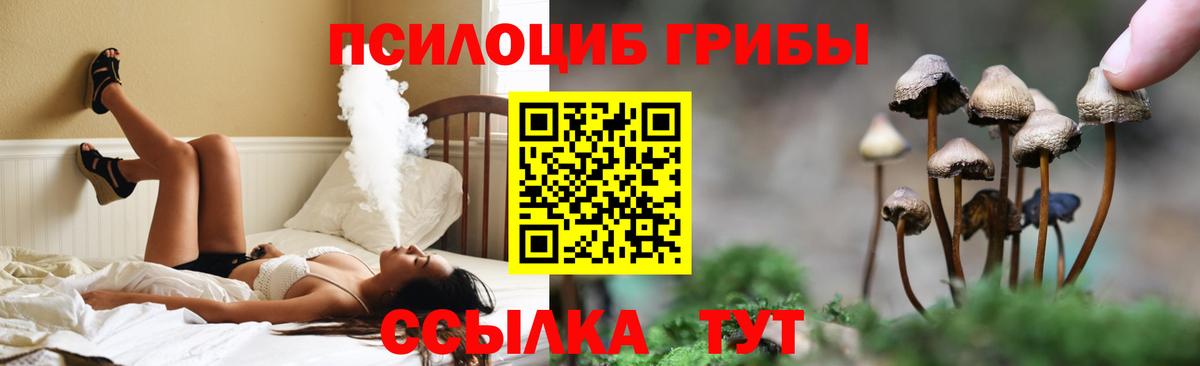 Галлюциногенные грибы GOLDEN TEACHER Красный Сулин